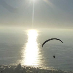 Paraglider gleitet vor einer Küste dem Sonnenuntergang entgegen